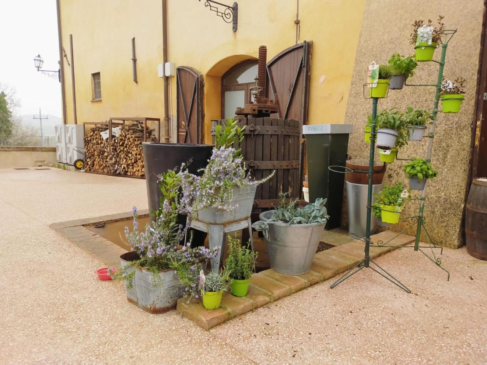 Locanda Di Casigliano Villa Casigliano  Exterior foto